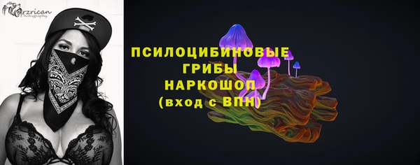 твердый Богданович