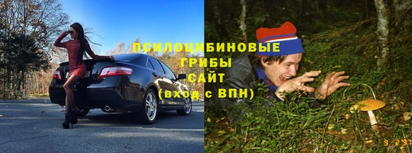 стафф Сафоново